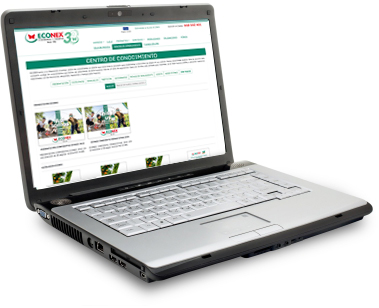 Web resources